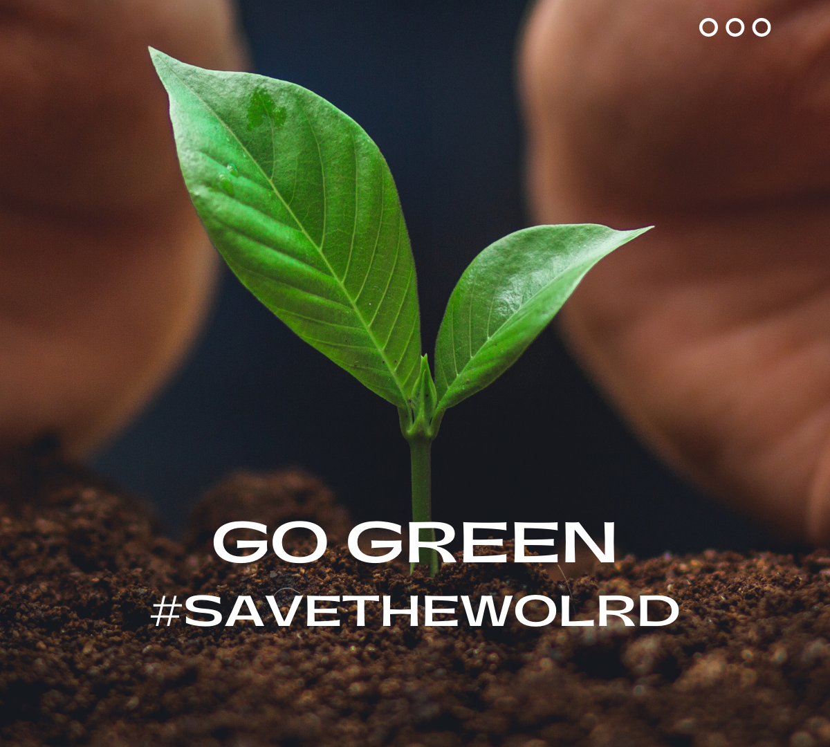 Reduce Deforestation with a Digital Menu For Your Restaurant 3