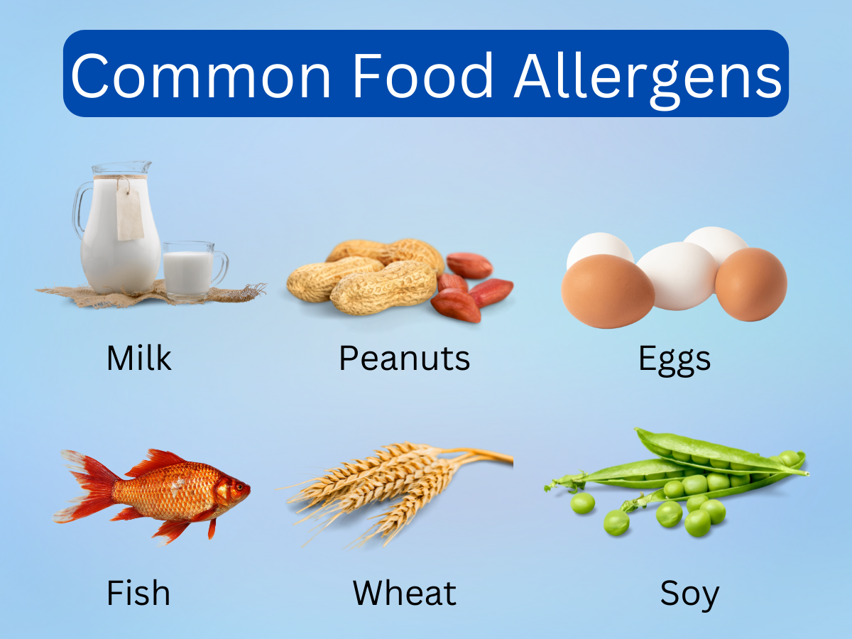 TOP FOOD ALLERGENS - How can you be safe?