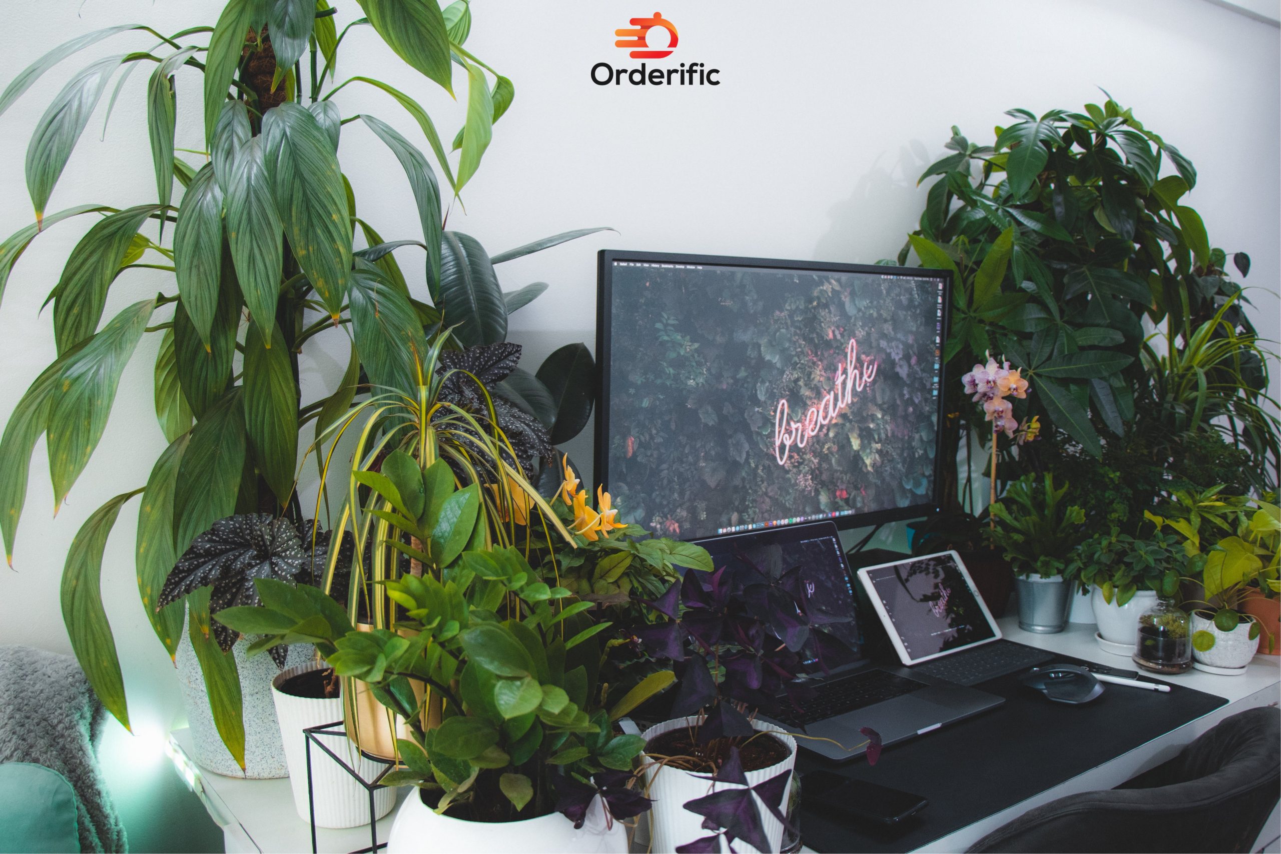 Guided Access On iPad: Mastering Its Use With A Step-By-Step Guide Guided access on iPad