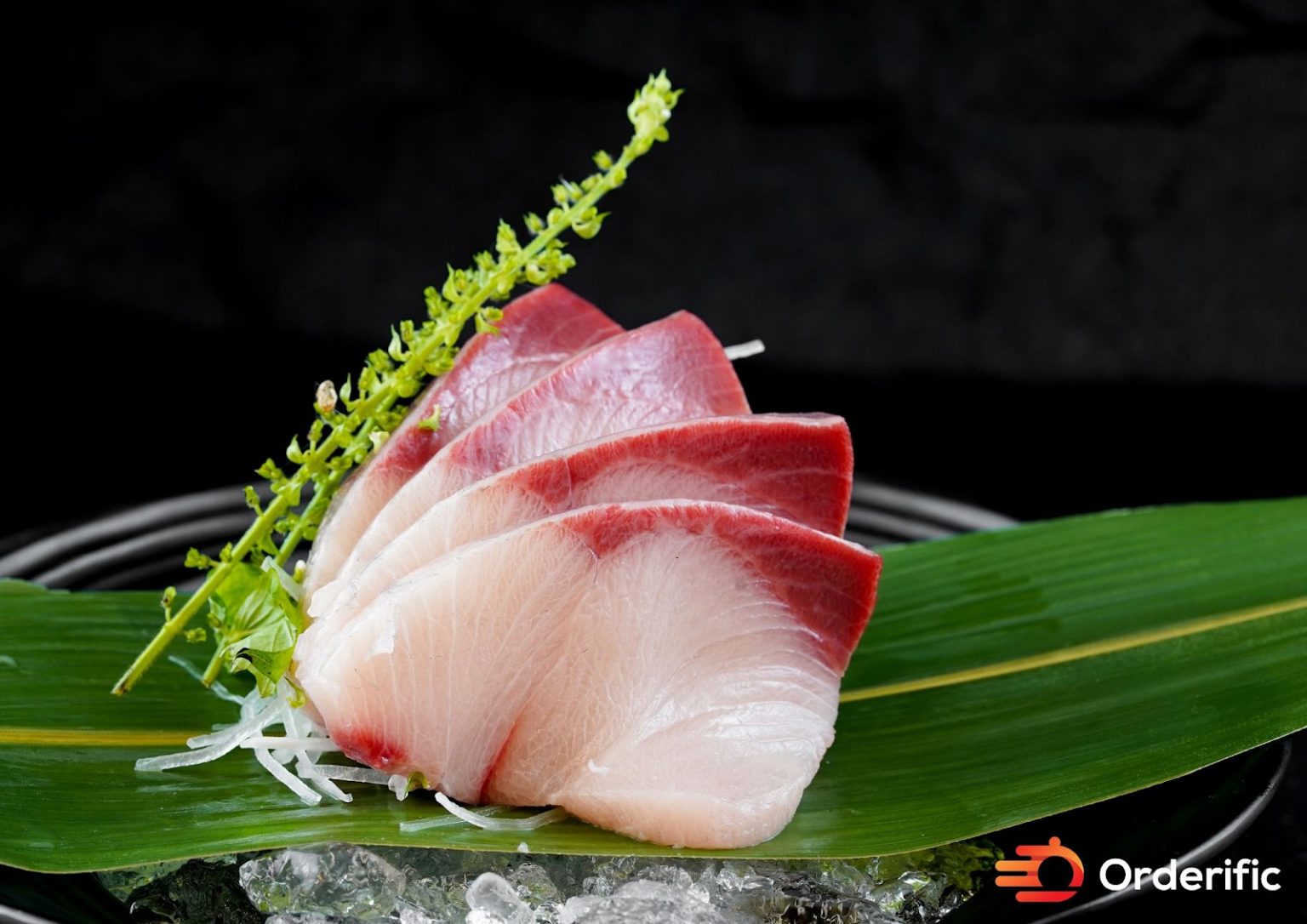 Hamachi Fish: An Overview of This Popular and Healthy Seafood