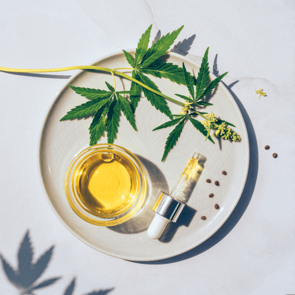 cbd facts
