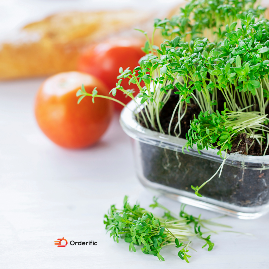 Super Green: Unleash the Power of Nutrient-Rich Goodness Untitled design-3