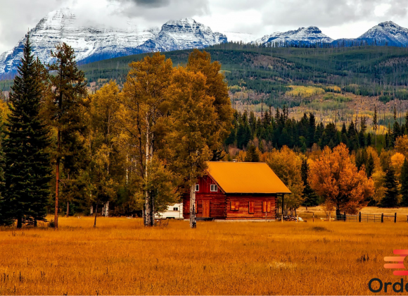 Untitled design - 2023-09-23T155036.081