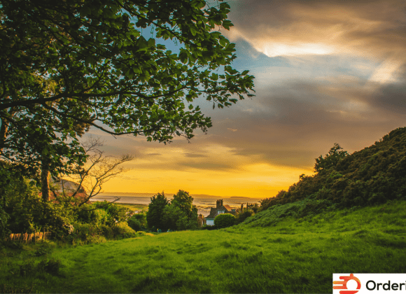 Untitled design - 2023-09-23T173258.561 (1) (1) (1)