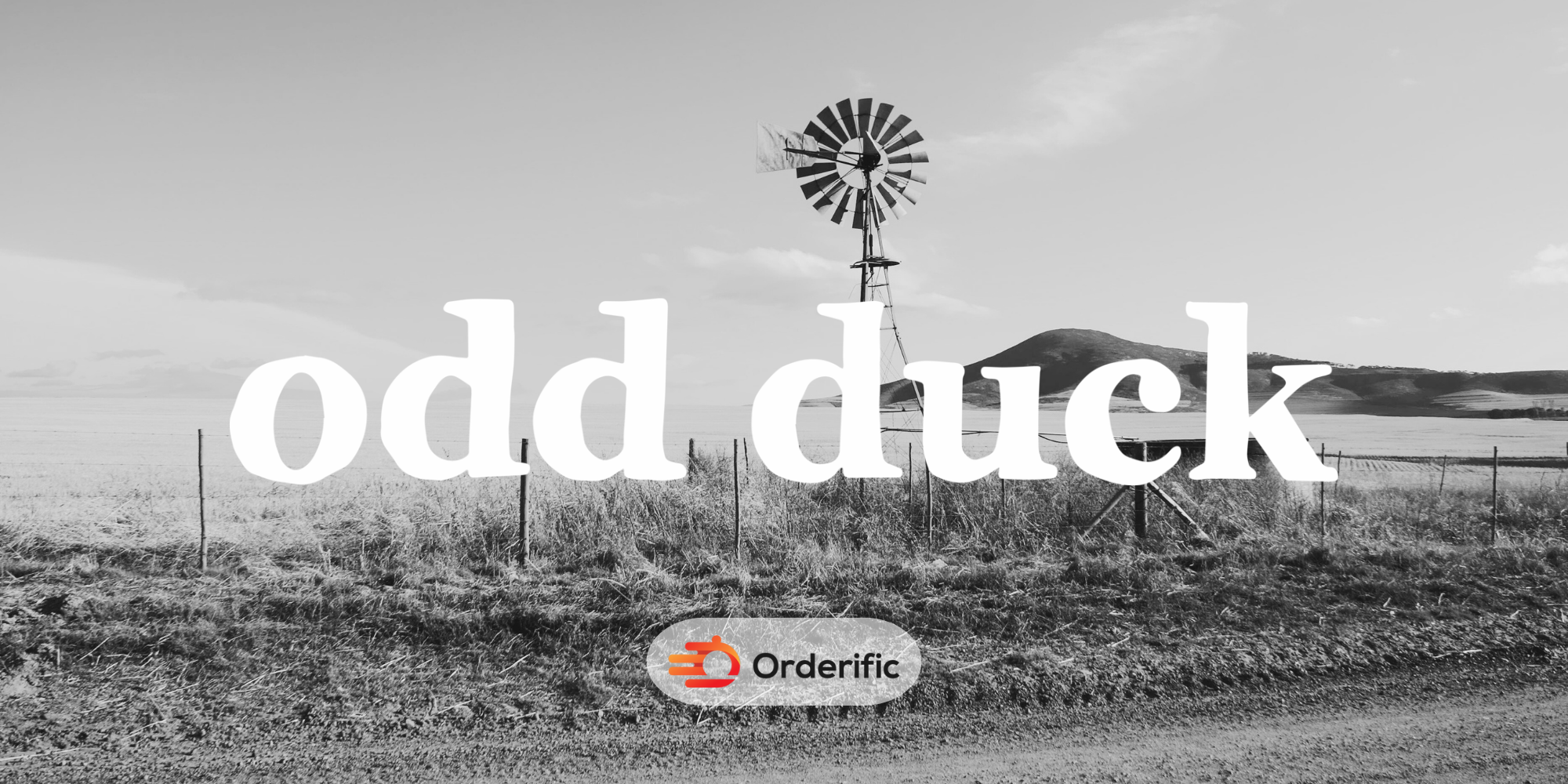 Odd Duck Austin
